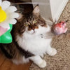 HappyCats™ - Interactive cat toy