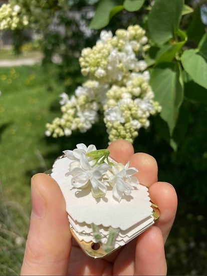 BloomPocket™ - Portable Flower Press