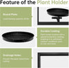 WallMuse™ - Modern Wall Plant Holder