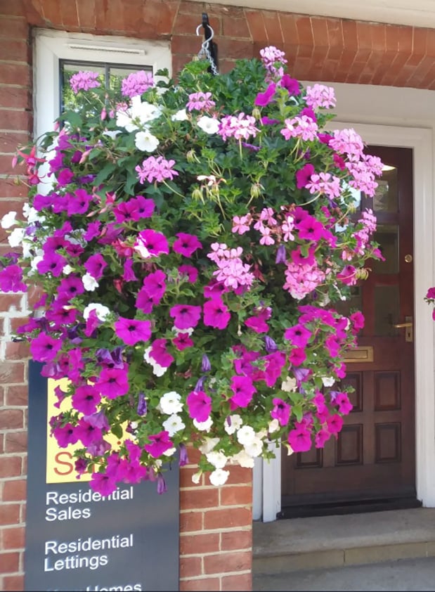 BloomLuxe™ – Artificial bindweed