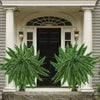 EverFern™ - Artificial Fern Plant