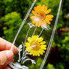 20+20 FREE | BlossomTabs™ - Preserve Autumn in Every Page