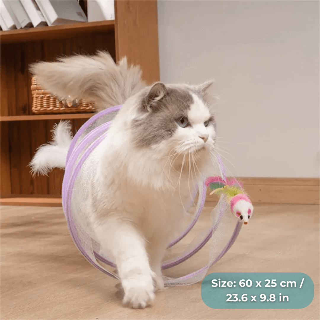 PurrPlay™ - Peekaboo Tunnel
