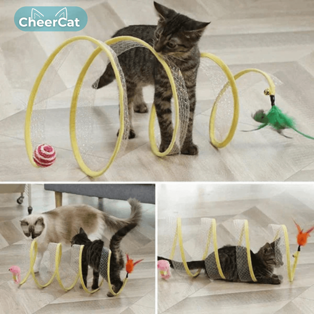 PurrPlay™ - Peekaboo Tunnel