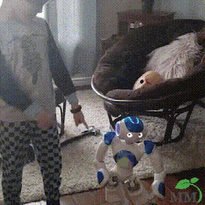 BrightBuddy™ - Smart Robot Toy