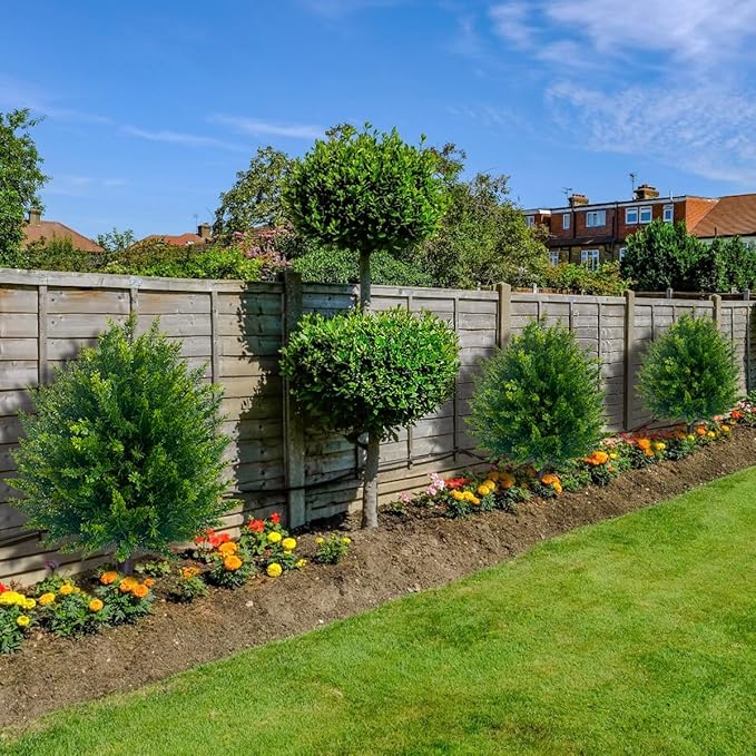 50% OFF | EverLush™ | Artificial Cedar Topiary Trees, set of 2