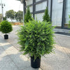 50% OFF | EverLush™ | Artificial Cedar Topiary Trees, set of 2