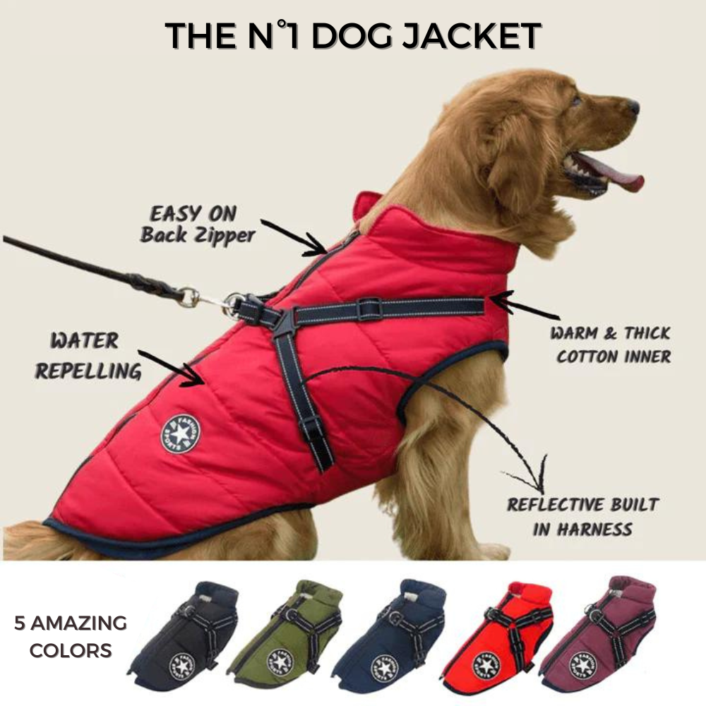 PawShield™ – The 3-in-1 Dog Jacket