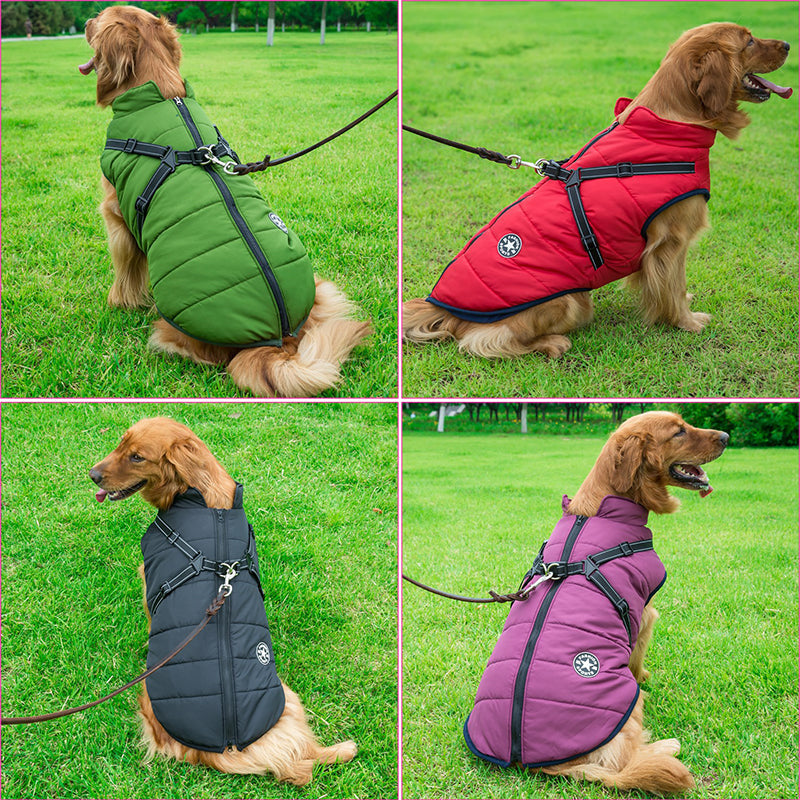 PawShield™ – The 3-in-1 Dog Jacket