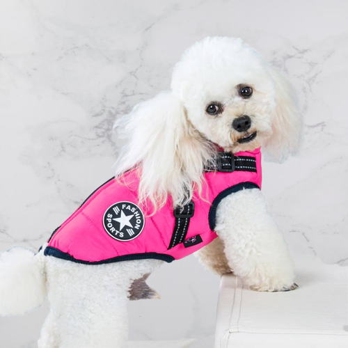PawShield™ – The 3-in-1 Dog Jacket