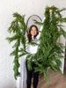 EverPine™ - Decorative Pine Garland