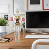 AnatoVision™ - Realistic 3D human anatomy mode