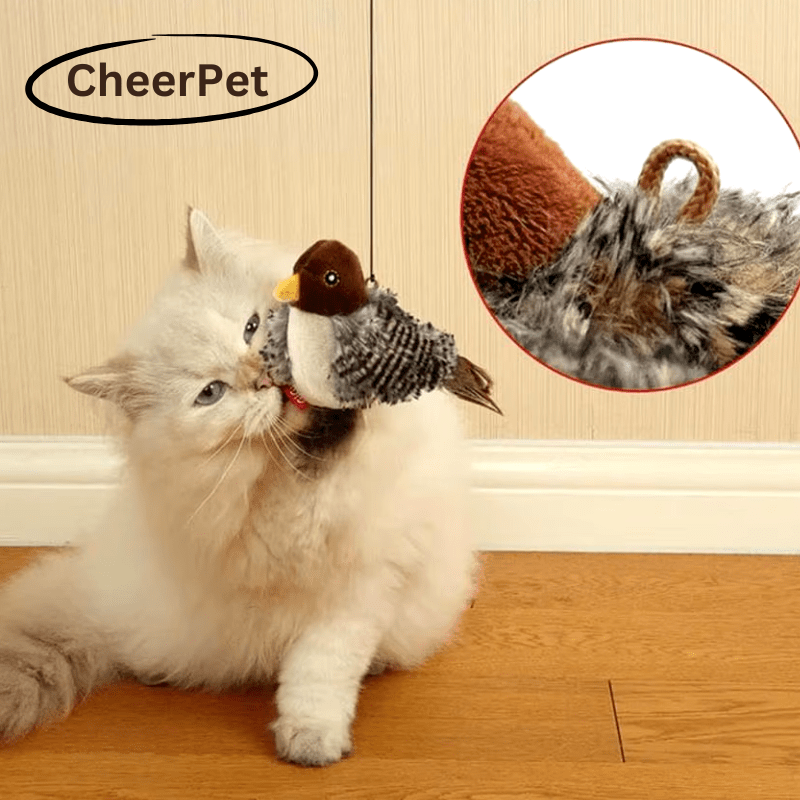 CheerPet™ - Cat Bird Toy