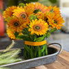 BloomCard™ – 3D pop-up flower card as a long-lasting
