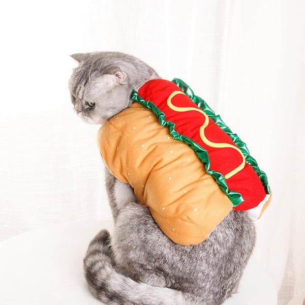 HotPaw™ - Funny hot dog costume