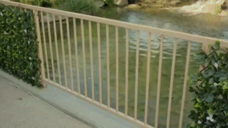 Gardenscape™ - Decorative privacy screen