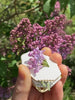 BloomPocket™ - Portable Flower Press