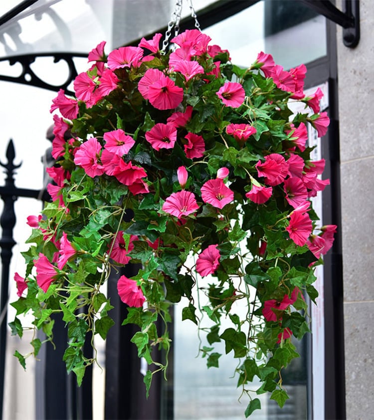 BloomLuxe™ – Artificial bindweed