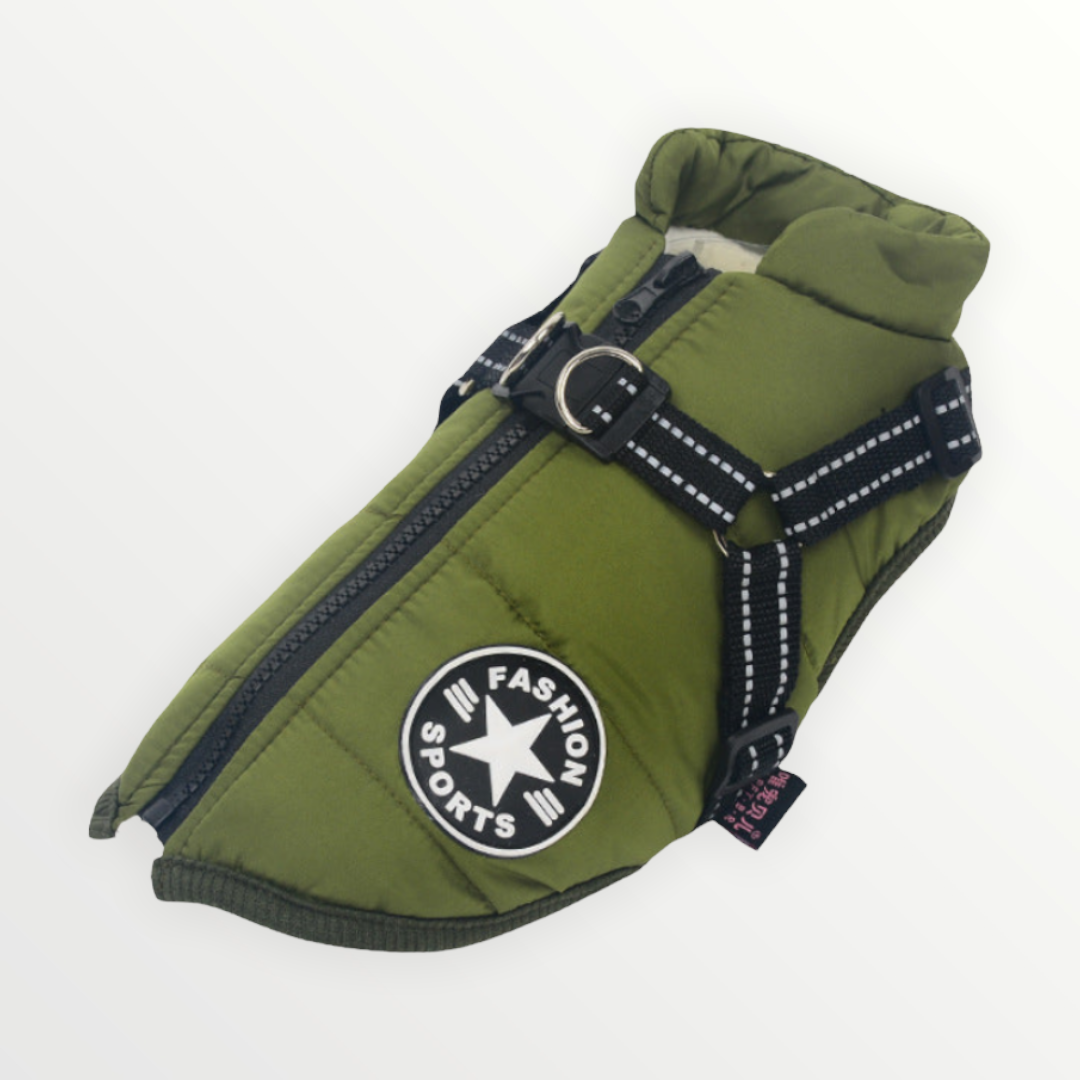 PawShield™ – The 3-in-1 Dog Jacket