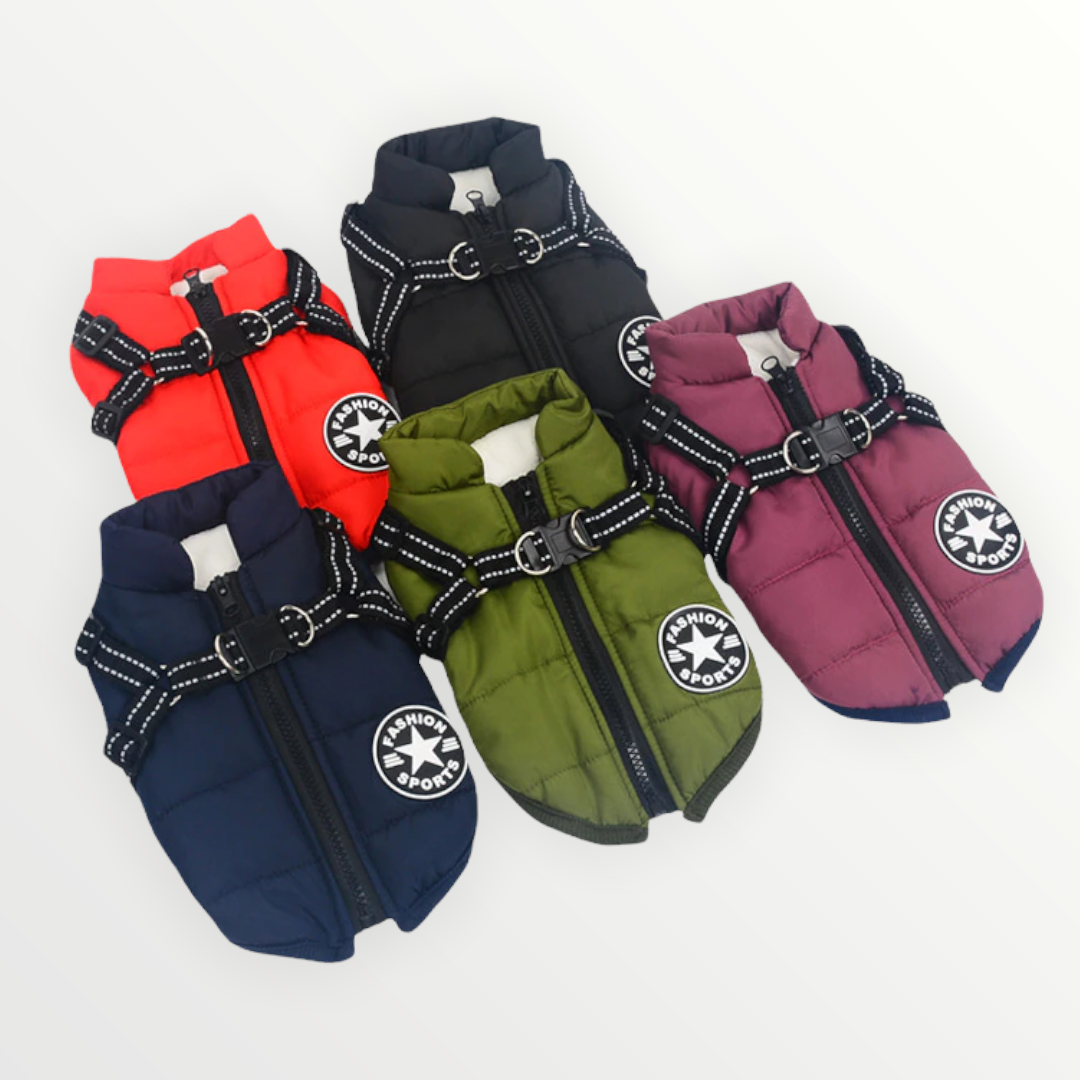 PawShield™ – The 3-in-1 Dog Jacket