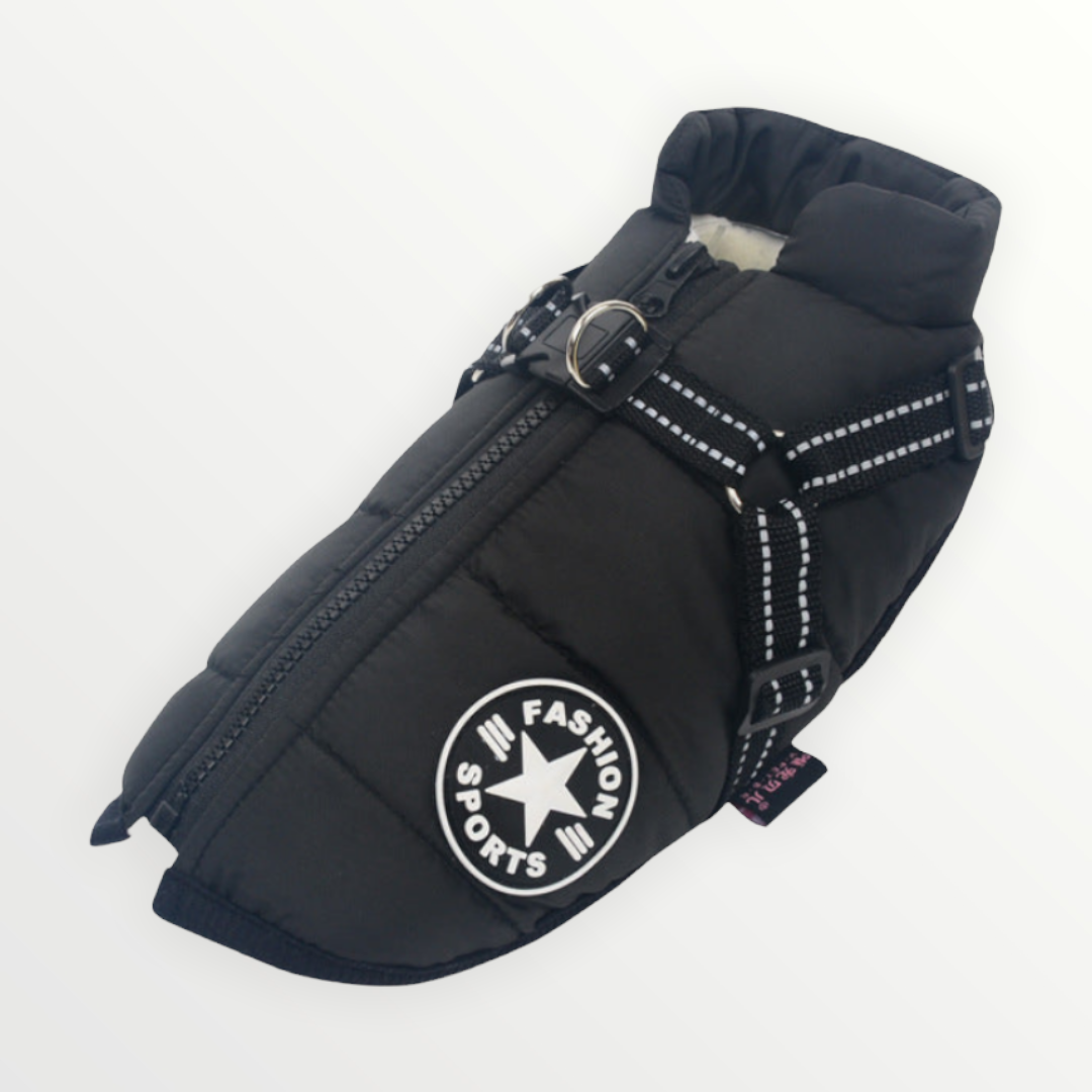 PawShield™ – The 3-in-1 Dog Jacket