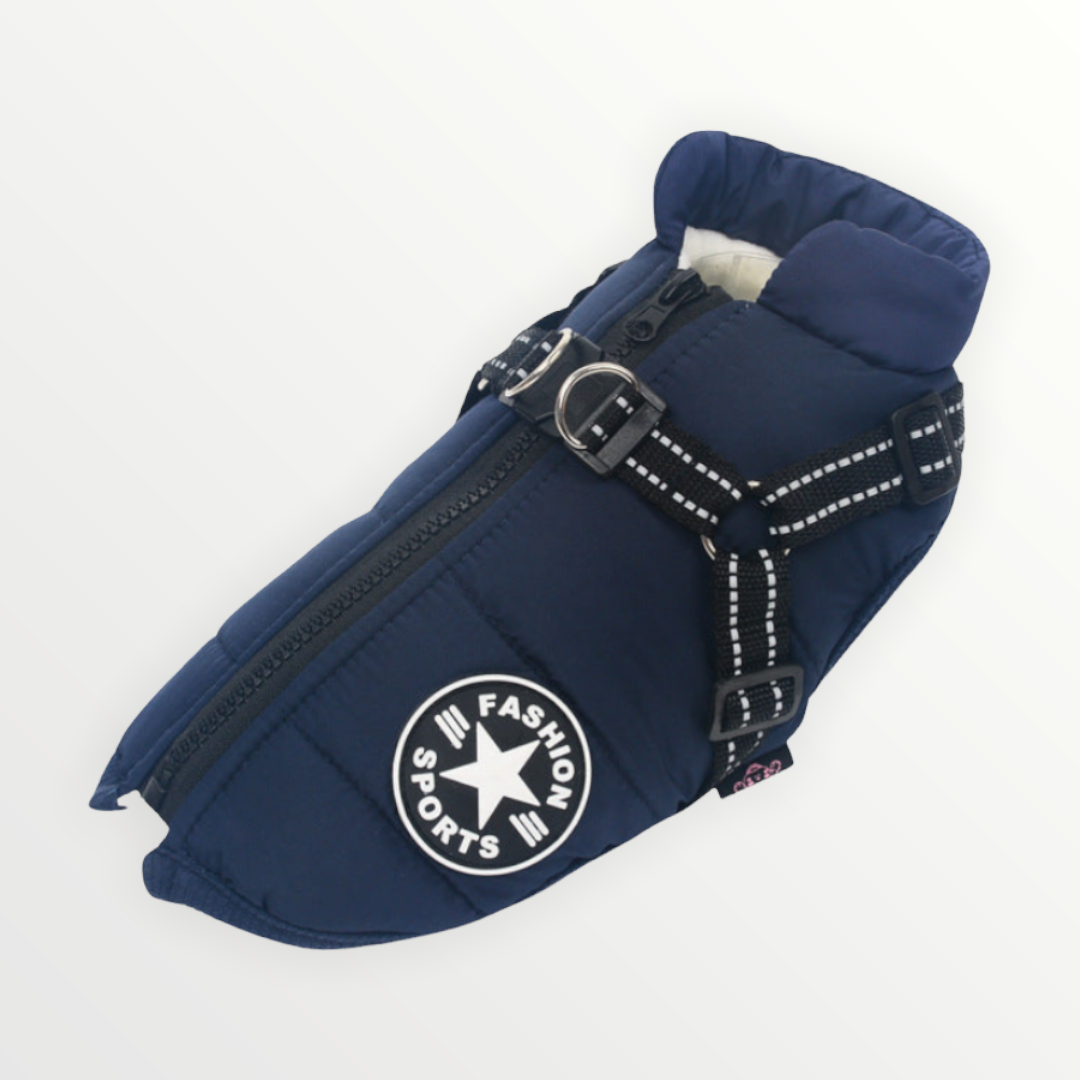 PawShield™ – The 3-in-1 Dog Jacket