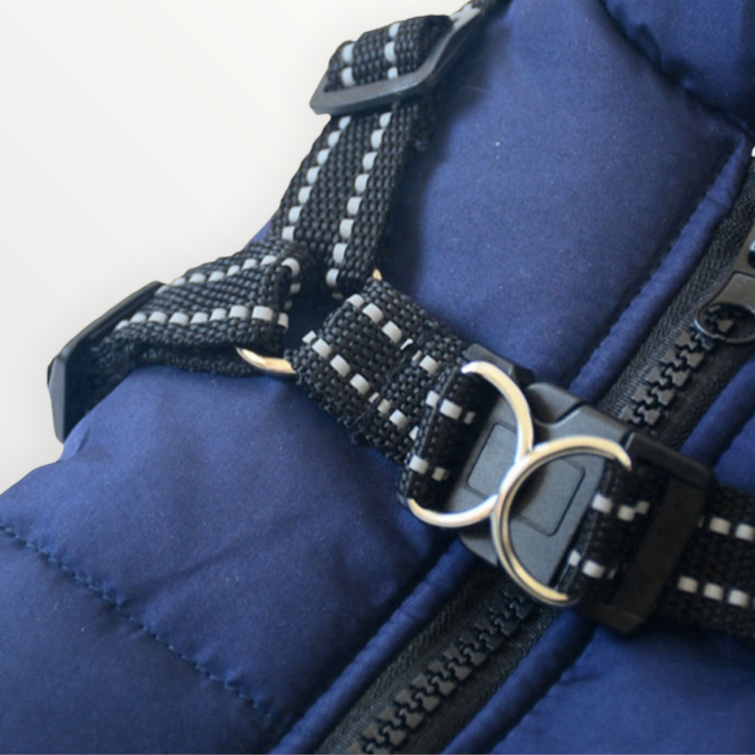 PawShield™ – The 3-in-1 Dog Jacket
