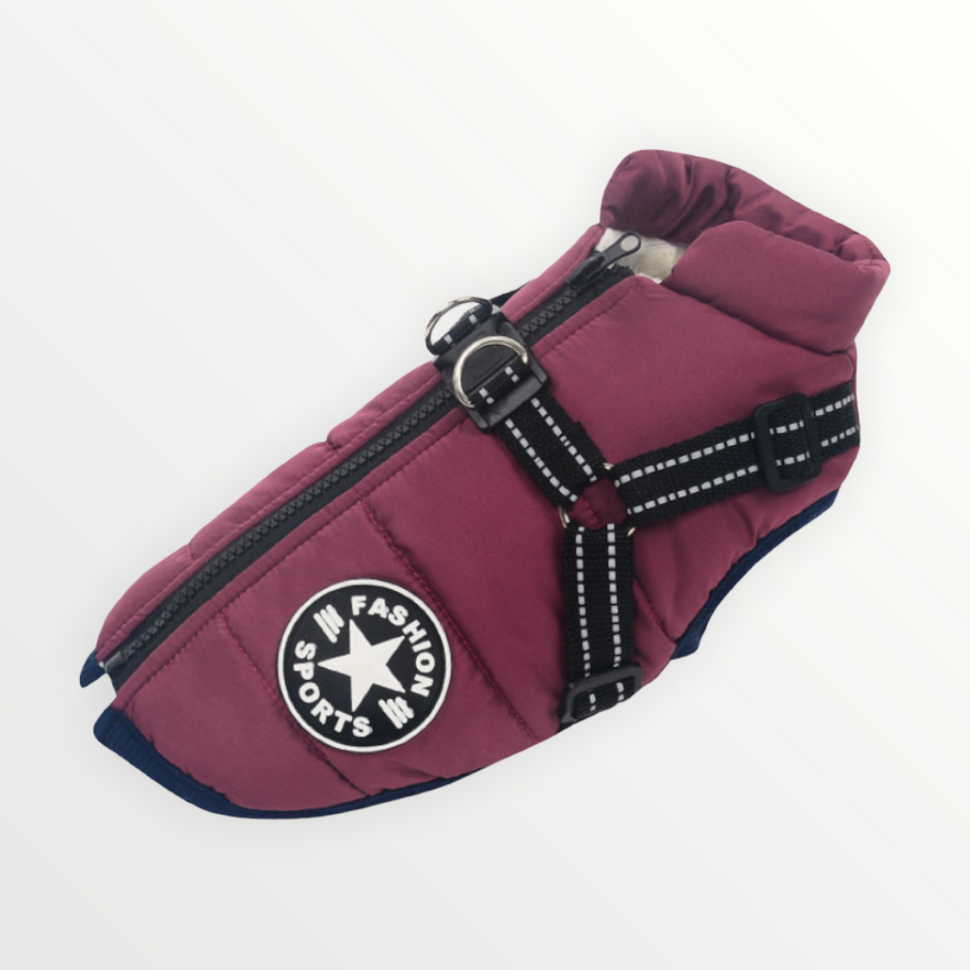 PawShield™ – The 3-in-1 Dog Jacket