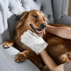 FurFresh™ – Odor-removing gloves